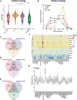 RNA-binding proteins that are highly expressed and enriched in healthy cartilage but suppressed in osteoarthritis